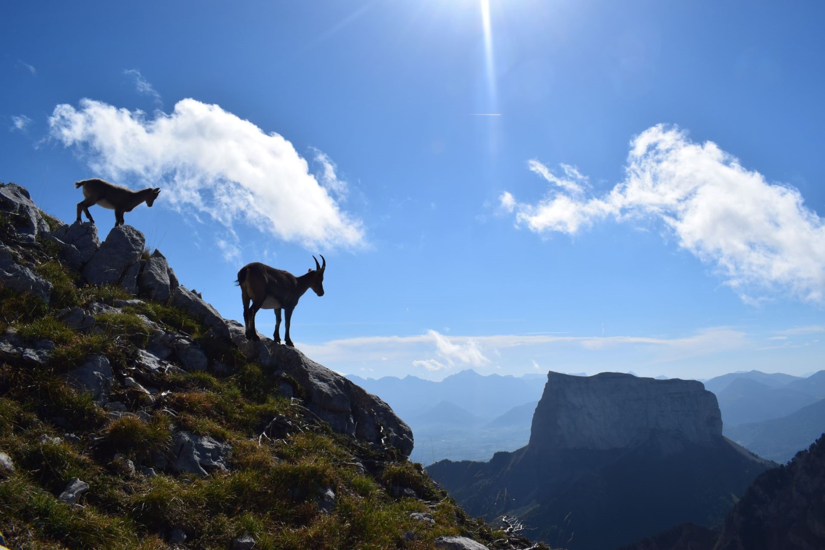 Mont Aiguille, chamoix, Vercors, hexatrek 