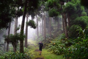 Forêt des Makes, île de la réunion, randonée