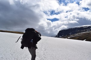 Neige kungsleden