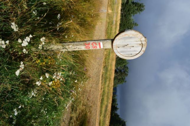 Chemin de Stevenson, GR70, Mont de Lozère