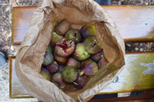 Sac de figues